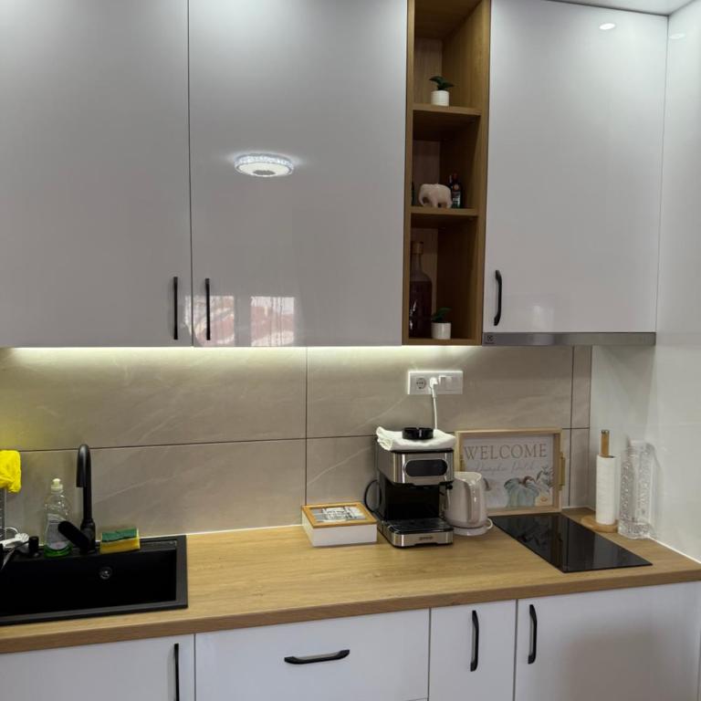 Manojlovic apartmani - Apartman sa 1 Spavaćom Sobom - 35