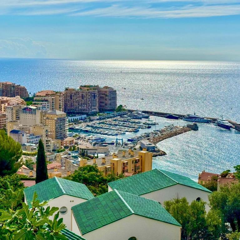 Mont des Olives - Cap D'ail- app6 - Appartement 1 Chambre - 38