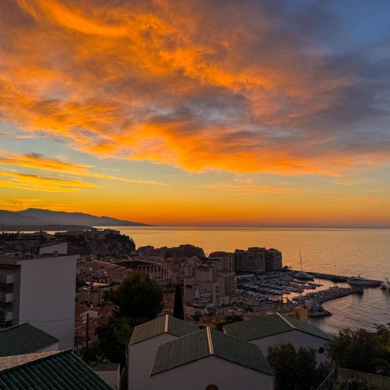 Mont des Olives - Cap D'ail- app1 - Appartement 2 Chambres - 33