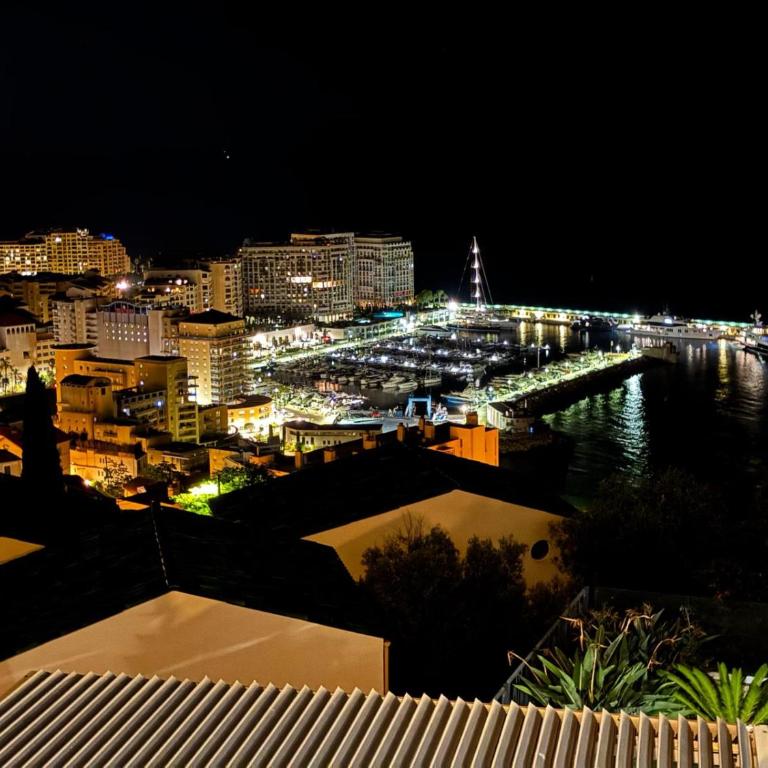 Mont des Olives - Cap D'ail- app1 - Appartement 2 Chambres - 18