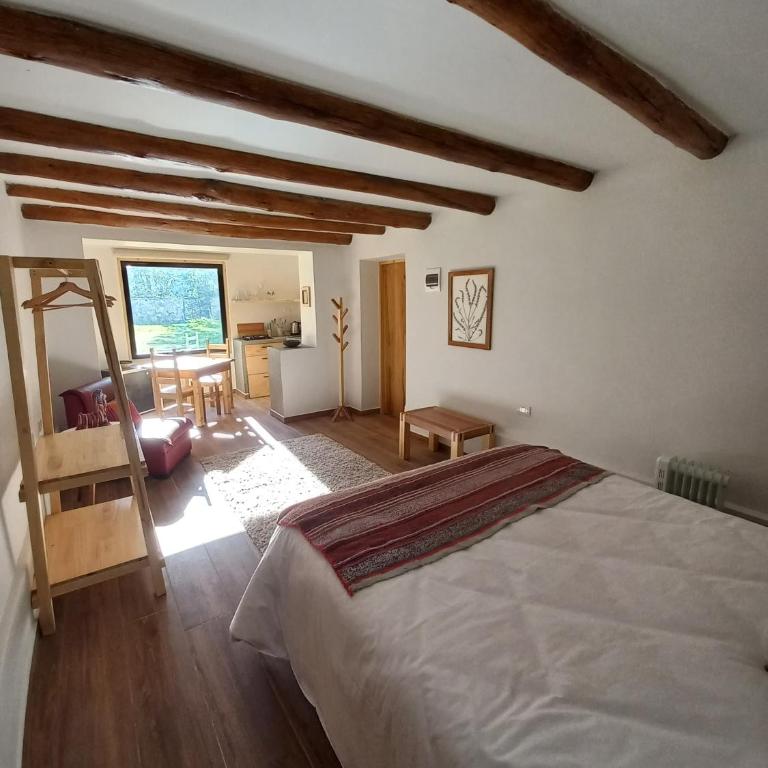 Chaqra - One-Bedroom Apartment - 10