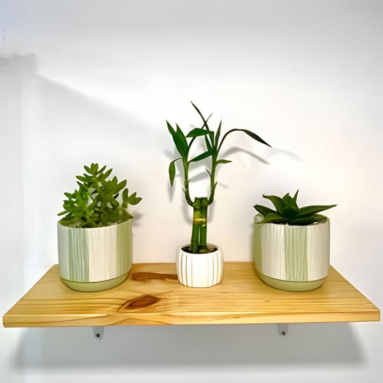 Apartamento / Suite Cartagena - Apartamento - 14