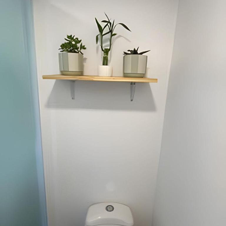 Apartamento / Suite Cartagena - Apartamento - 15