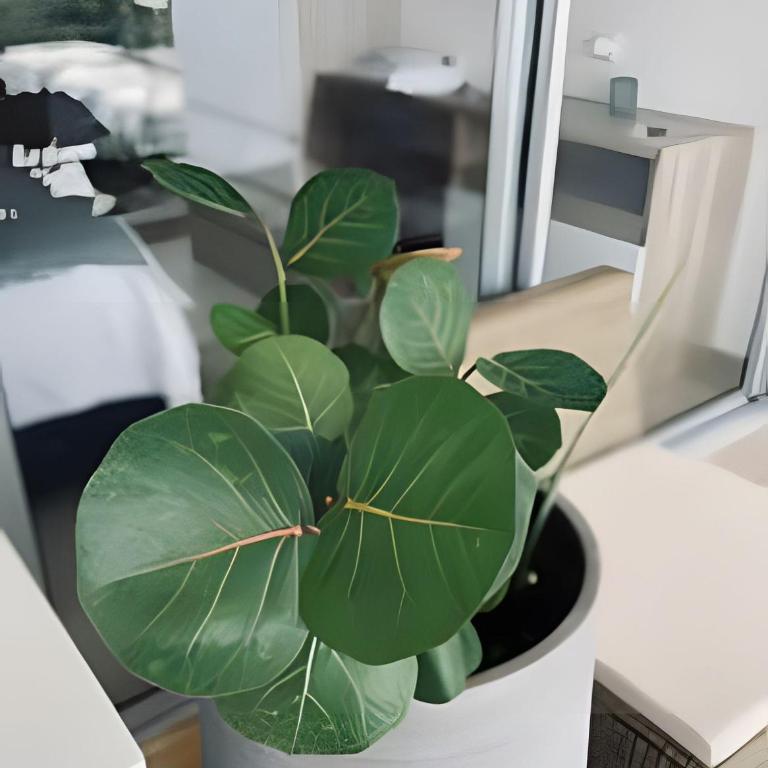 Apartamento / Suite Cartagena - Apartamento - 29