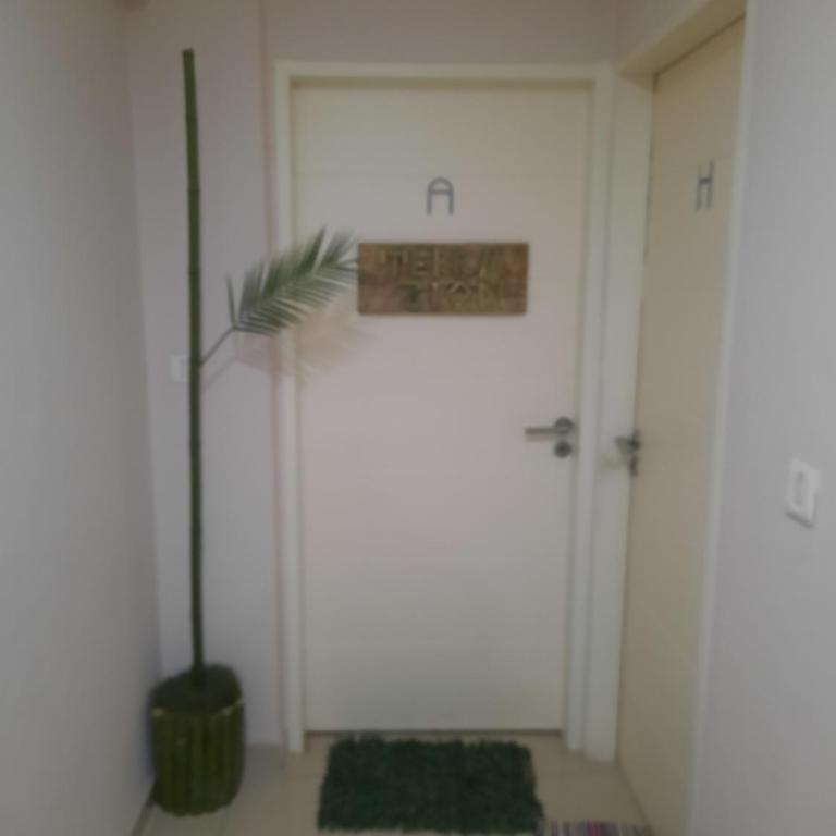 Terra Zion - Apartamento de 1 dormitorio - 15