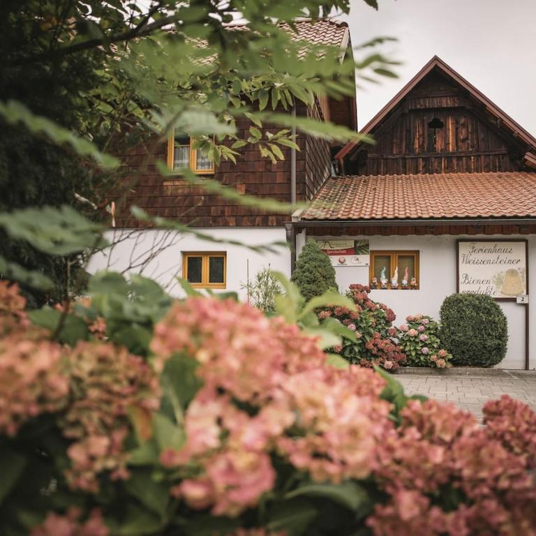 Ferienholzhaus in Sankt Gallen im Gesäuse in der Steiermark - Apartment mit 2 Schlafzimmern und Bergblick - 11