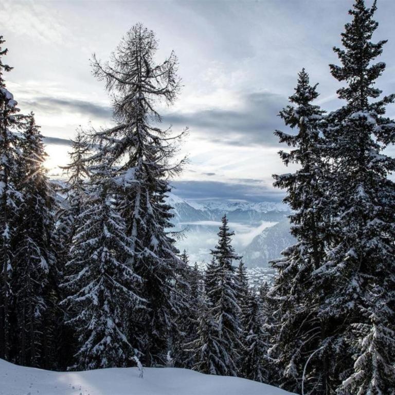 Chalet in La Tzoumaz near Ski Slopes - Superior Chalet - 38