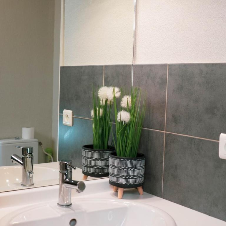 Studio Le Voyageur 24 m2 - Appartement 1 Chambre - 4