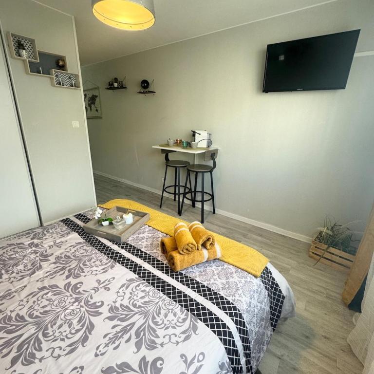 Studio Le Voyageur 24 m2 - Appartement 1 Chambre - 7