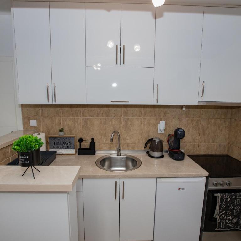 Apartman Nikola - Apartman sa 1 Spavaćom Sobom - 14