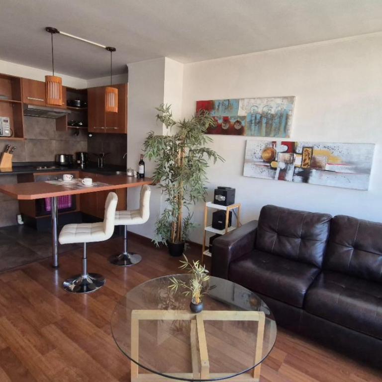 Apartamento Pet-Friendly, Piscina, Vista Cerro San Cristobal, Santiago - One-Bedroom Apartment - 6