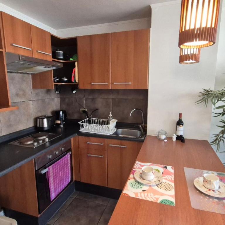 Apartamento Pet-Friendly, Piscina, Vista Cerro San Cristobal, Santiago - One-Bedroom Apartment - 8