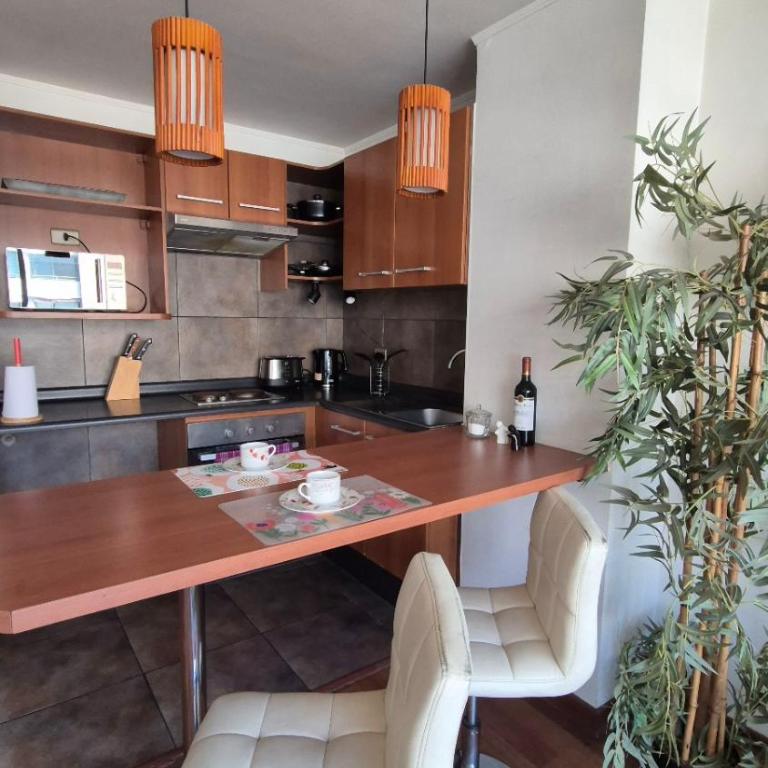 Apartamento Pet-Friendly, Piscina, Vista Cerro San Cristobal, Santiago - One-Bedroom Apartment - 10