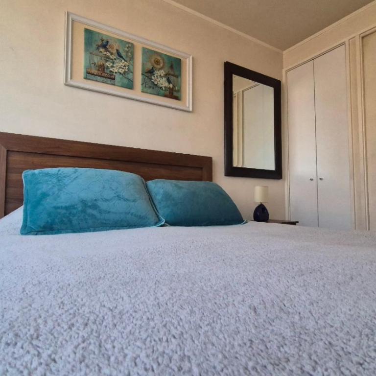 Apartamento Pet-Friendly, Piscina, Vista Cerro San Cristobal, Santiago - One-Bedroom Apartment - 13