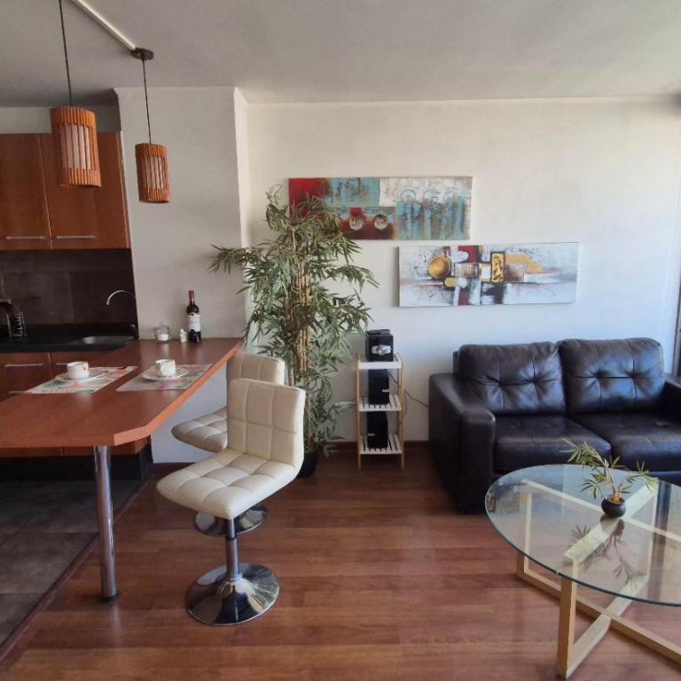 Apartamento Pet-Friendly, Piscina, Vista Cerro San Cristobal, Santiago - One-Bedroom Apartment - 15