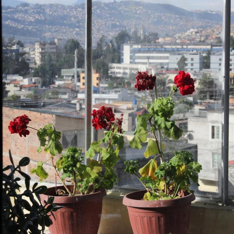 Apartamento en la Gasca - Apartment - 20