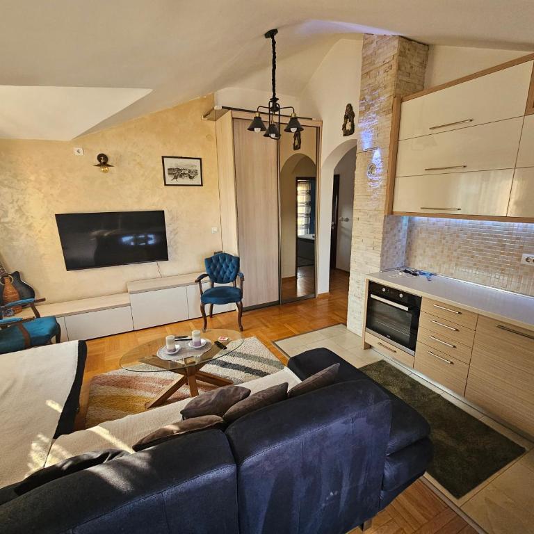 Apartment Vasilije - Apartman sa 1 Spavaćom Sobom - 2