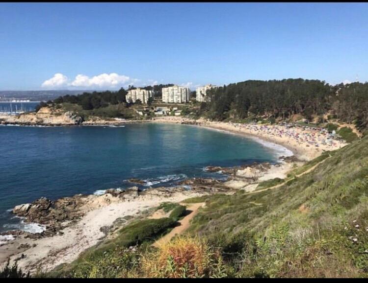 Cómoda casa a pasos de playa El Canelo - Casa de 3 dormitorios - 19