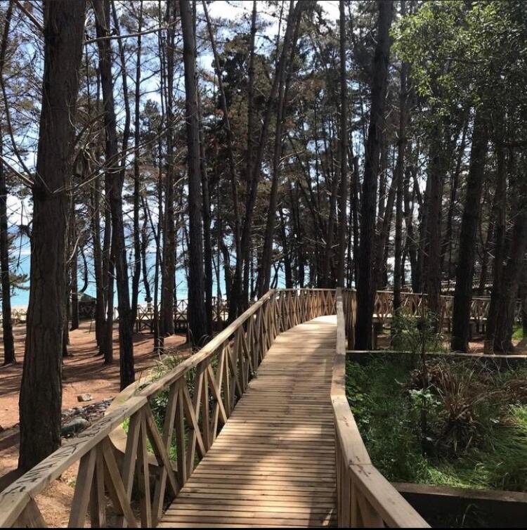 Cómoda casa a pasos de playa El Canelo - Casa de 3 dormitorios - 24