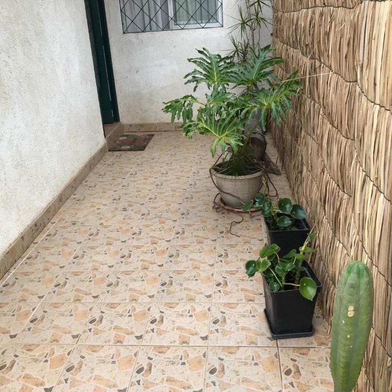 Cómoda casa a pasos de playa El Canelo - Casa de 3 dormitorios - 30