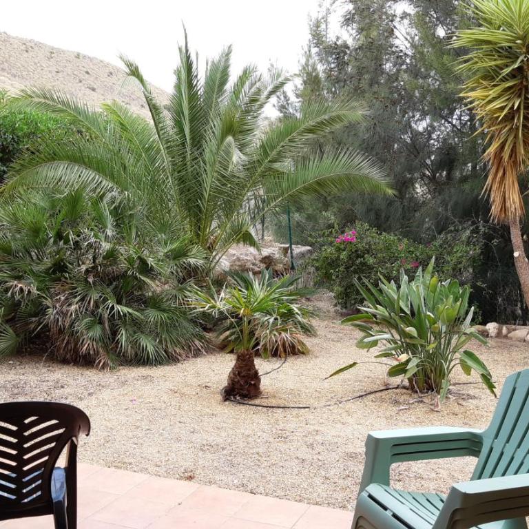 Linaria - Apartamento de 2 dormitorios - 12