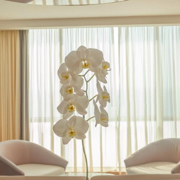 Hotel InterContinental Cartagena by IHG - Suite con cama extragrande y vistas al mar - 7