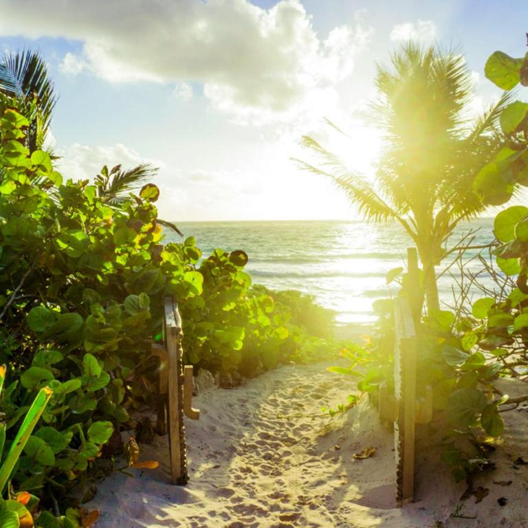 All Inclusive beachfront Villa in Tulum beach - Villa - 1