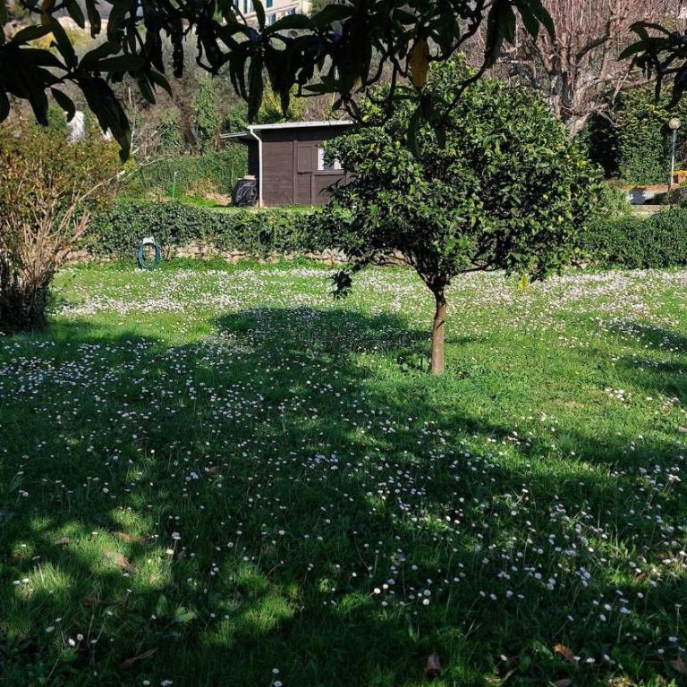 Garden Seaview Camogli - Casa con 2 Camere da Letto - 42