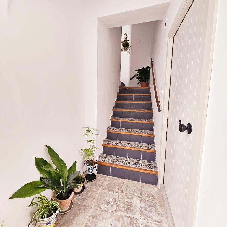 Casa de la Cruz Vejer - Estudio con sofá cama - 10