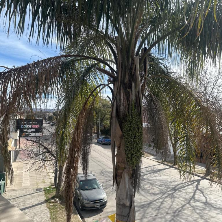 Departamento - Apartamento de 1 dormitorio - 2