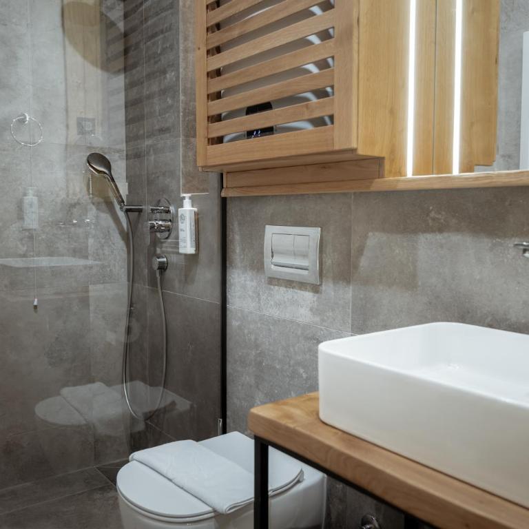Angelina Apart&Spa - Apartman Tipa "Suite" sa 1 Spavaćom Sobom - 3