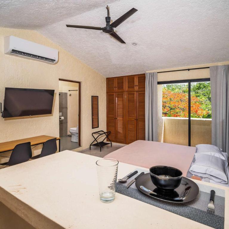 Compact Studio with Balcony Park View Casa Jurel - Apartment - 6