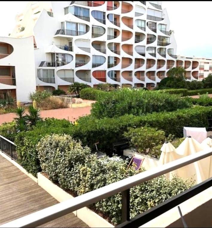 Nouveau ! Studio Mer Racine - Plage, Clim, Parking - Estudio con vistas al jardín - 7
