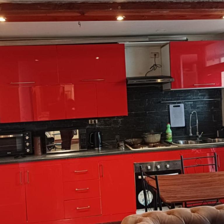 departamento amoblado completo - One-Bedroom Apartment - 3