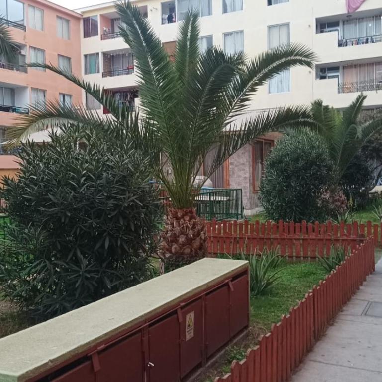 departamento amoblado completo - One-Bedroom Apartment - 5