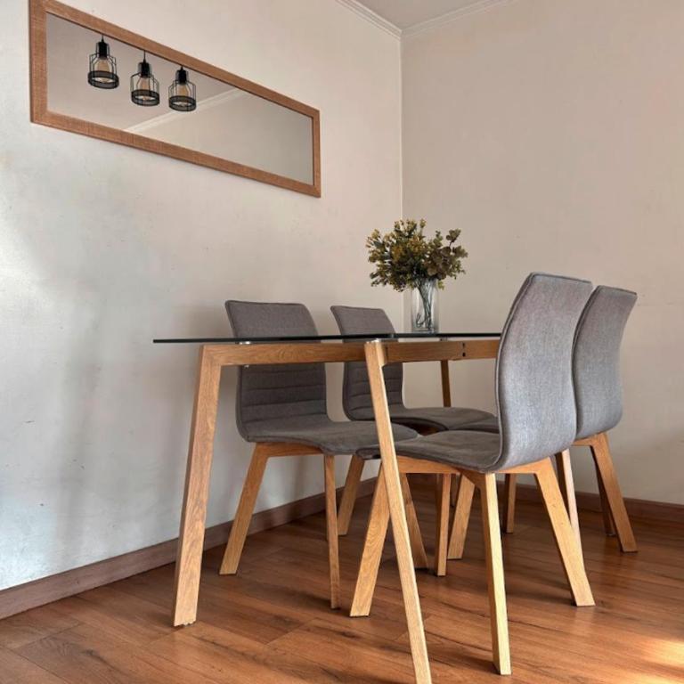 Departamento 1 habitación, A pasos del metro Santa Lucia, Cómodo con WIFI - Apartamento de 1 dormitorio - 4