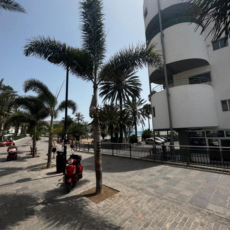 Tagora del Guayero - Apartamento de 1 dormitorio - 4