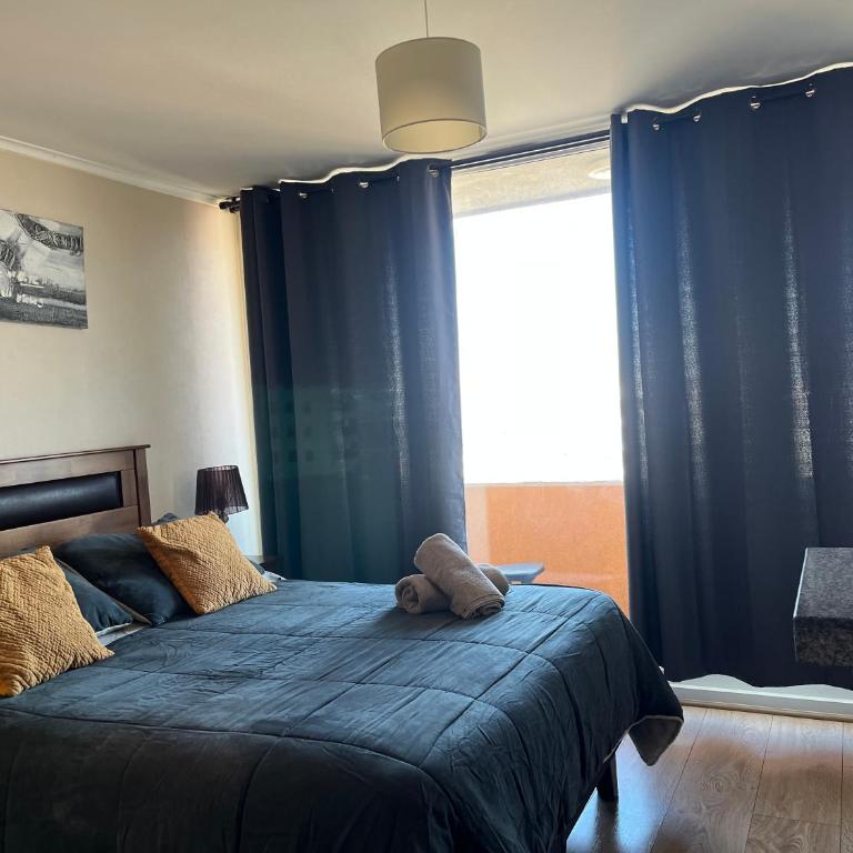 Depto estudio 1810 centro temuco - Apartamento de 1 dormitorio - 1