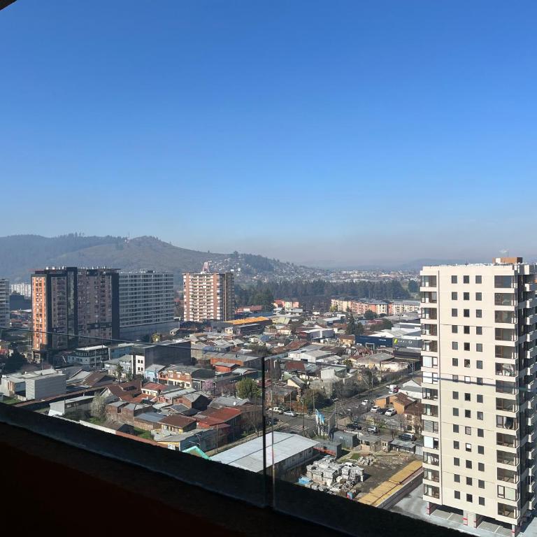 Depto estudio 1810 centro temuco - Apartamento de 1 dormitorio - 4