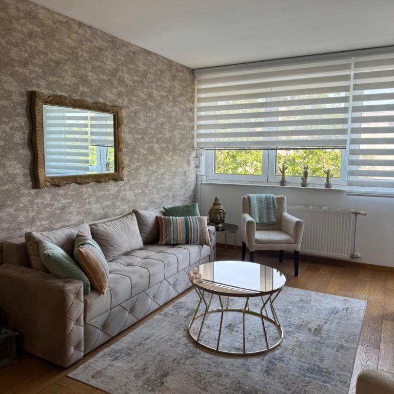 Big Star apartman - Apartman sa 1 Spavaćom Sobom - 8