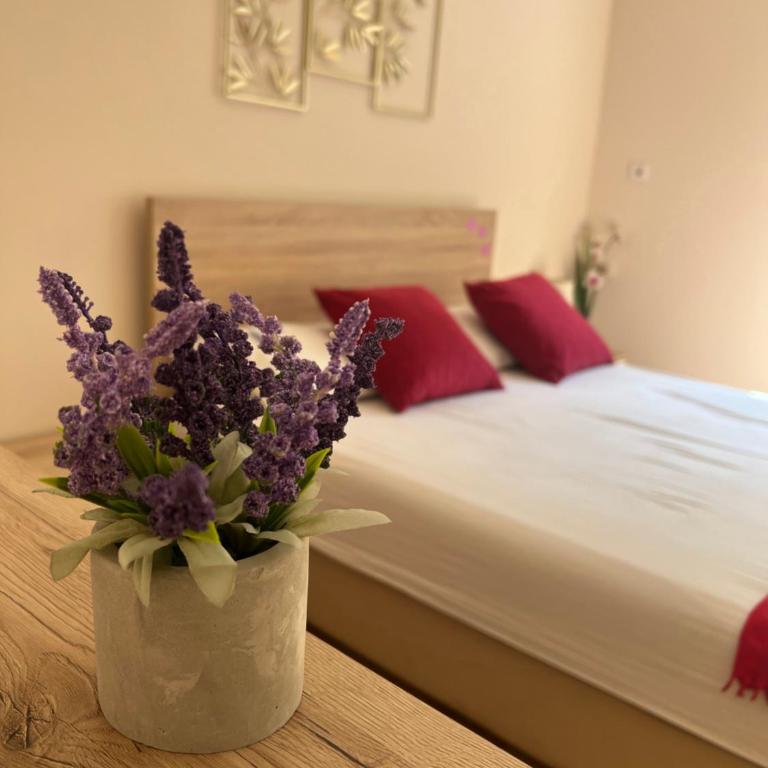 Orchid House - Apartman sa 1 Spavaćom Sobom - 1