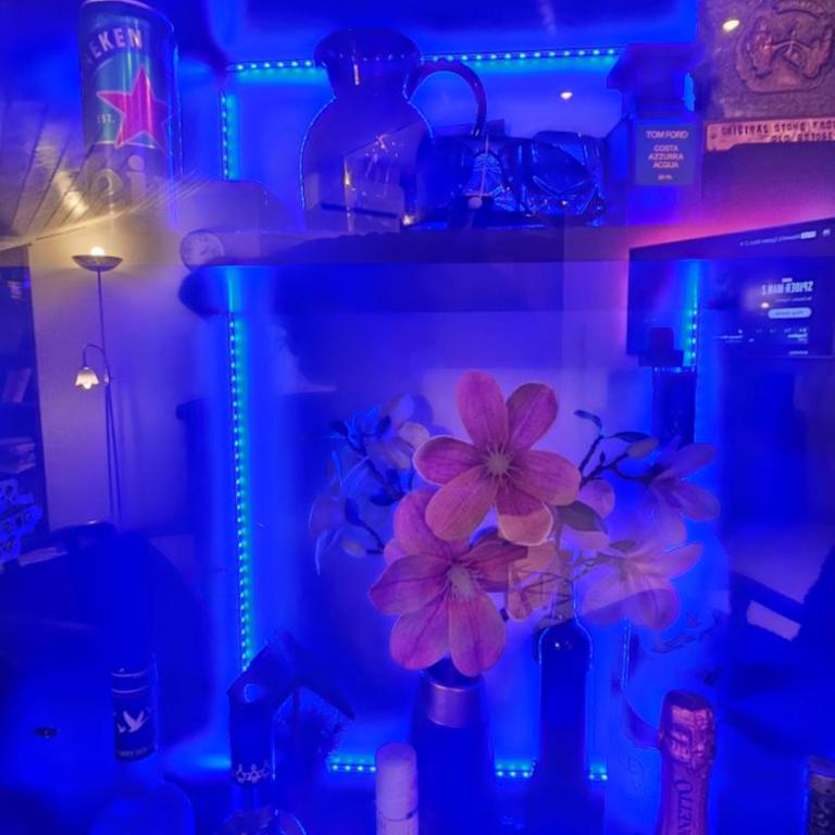 Idolina Apartment - Apartman sa 3 Spavaće Sobe i Balkonom - 30