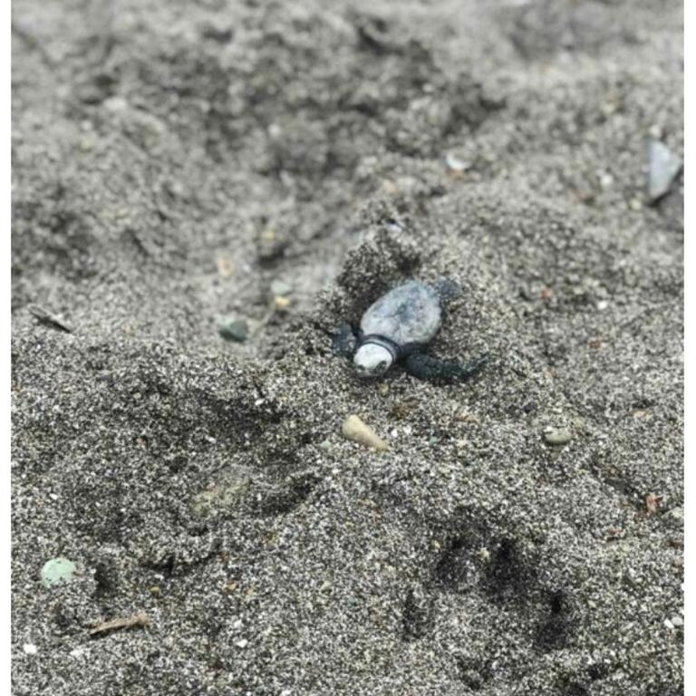 Totem Home - Casa de 3 dormitorios - 11