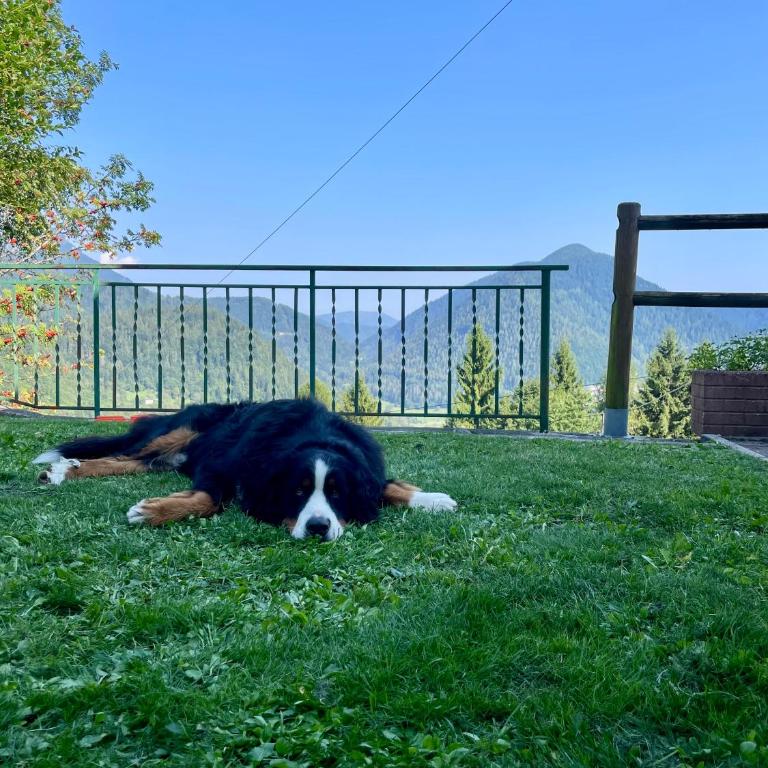 Scenic Mountain Views, Free Parking & Skiing - Appartamento con 2 Camere da Letto - 19