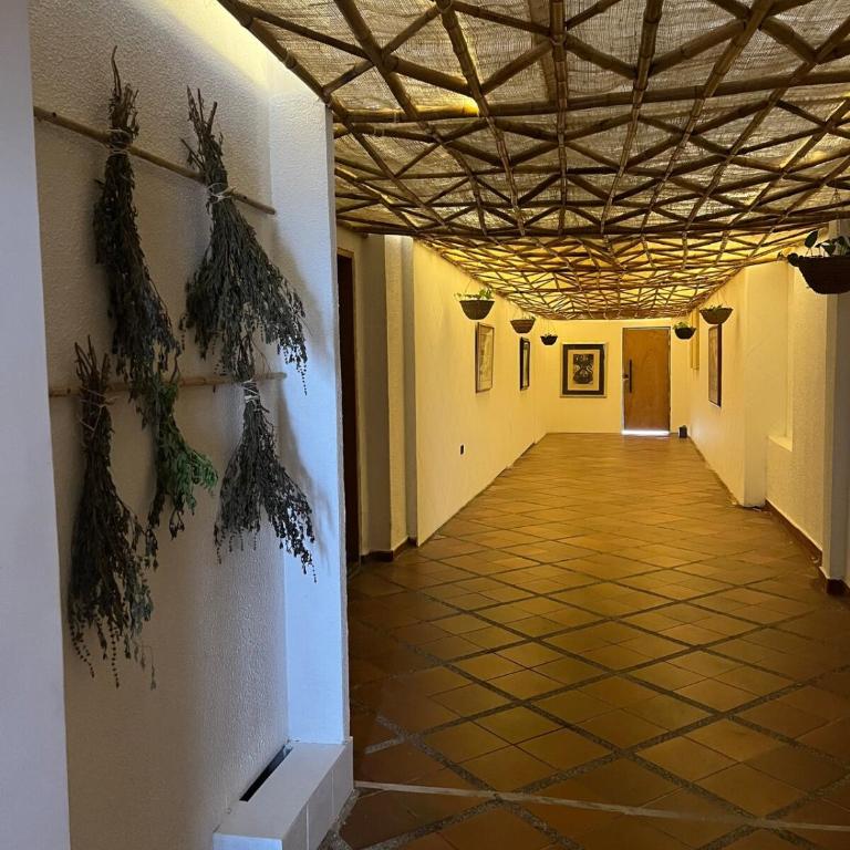 Room in Boutique Hotel! Perfect Location for 3! - One-Bedroom Apartment - 13