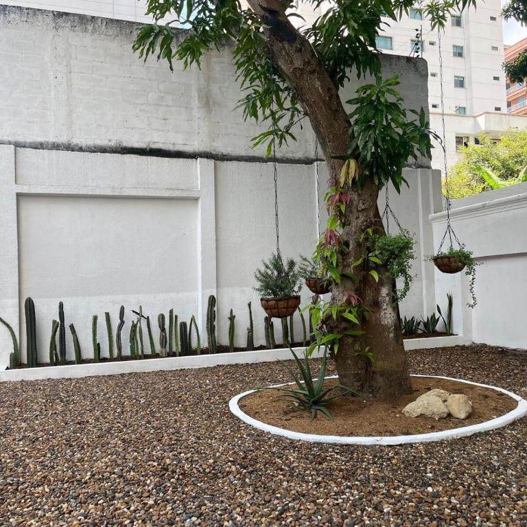 Room in Boutique Hotel! Perfect Location for 3! - One-Bedroom Apartment - 15