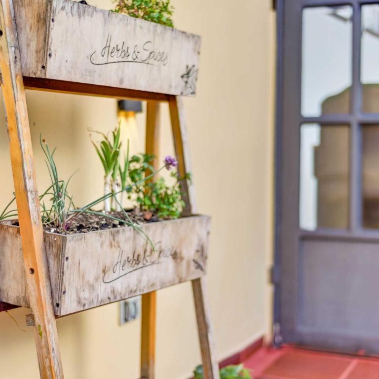 Chic 4BR Getaway in Vibrant La Candelaria - Casa - 64