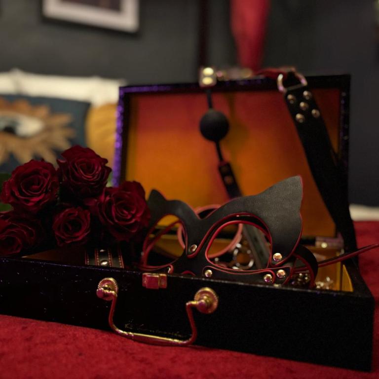 Cocon d'Amour - Old Tours - Appartamento con 1 Camera da Letto - 7