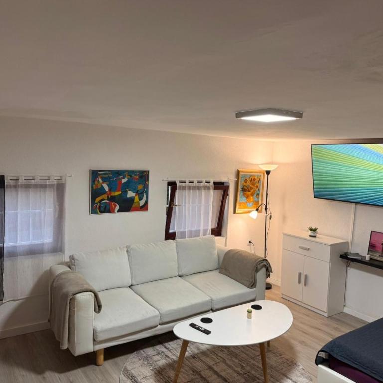 Apartment in Skenderija - Apartman sa 1 Spavaćom Sobom - 1