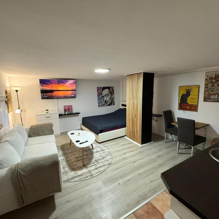 Apartment in Skenderija - Apartman sa 1 Spavaćom Sobom - 5